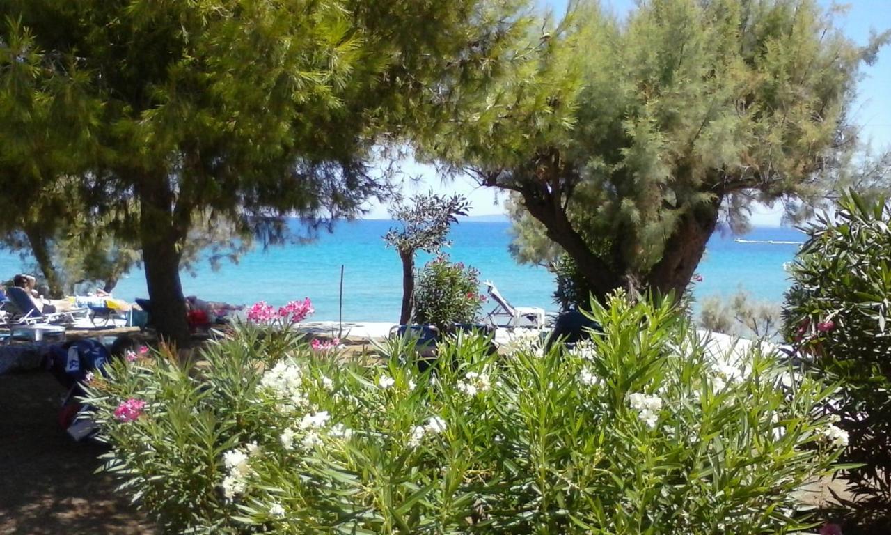 Stamiris Hotel 3*